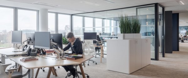 Büro mit Baum