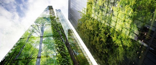 Green Building Investmentmarkt
