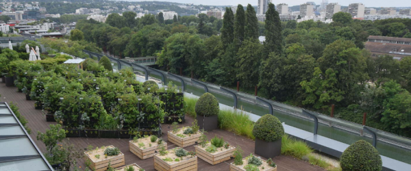 Urban Farm