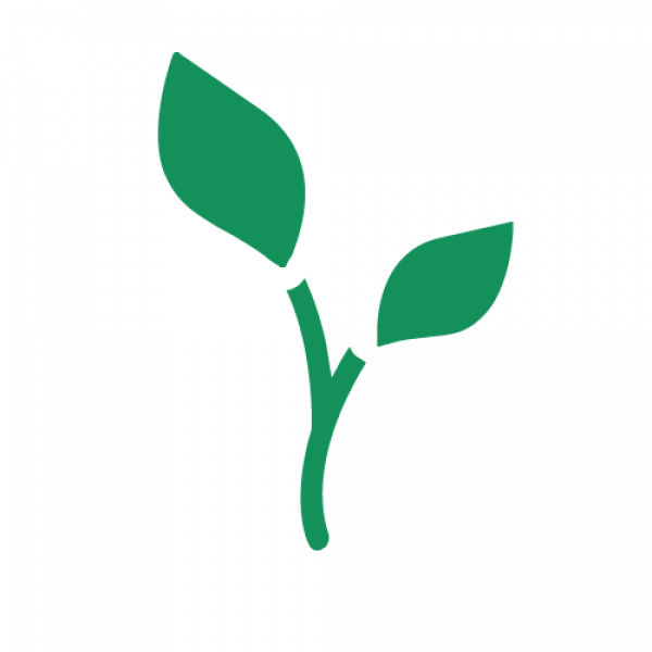 Icon Plant