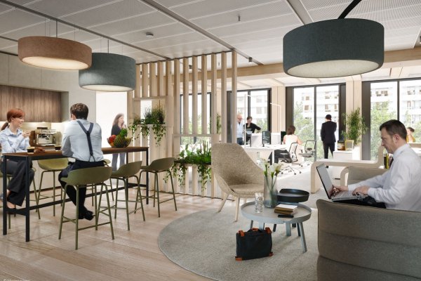 Timber Pioneer Innen