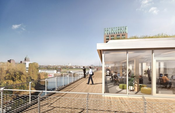 Rooftop The Cradle