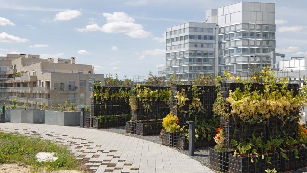Urban Farming Paris BNPPRE