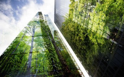 Green Building Investmentmarkt