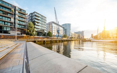 Header Insti Report 2024