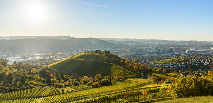 Smart Metropolis Stuttgart: Landschaftspark