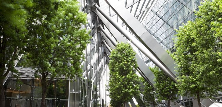 Green Building Trends